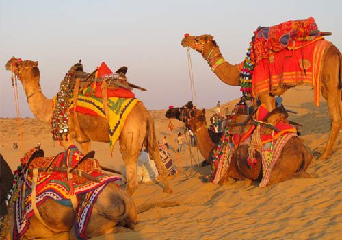 Camel-Safari-Jaisalmer